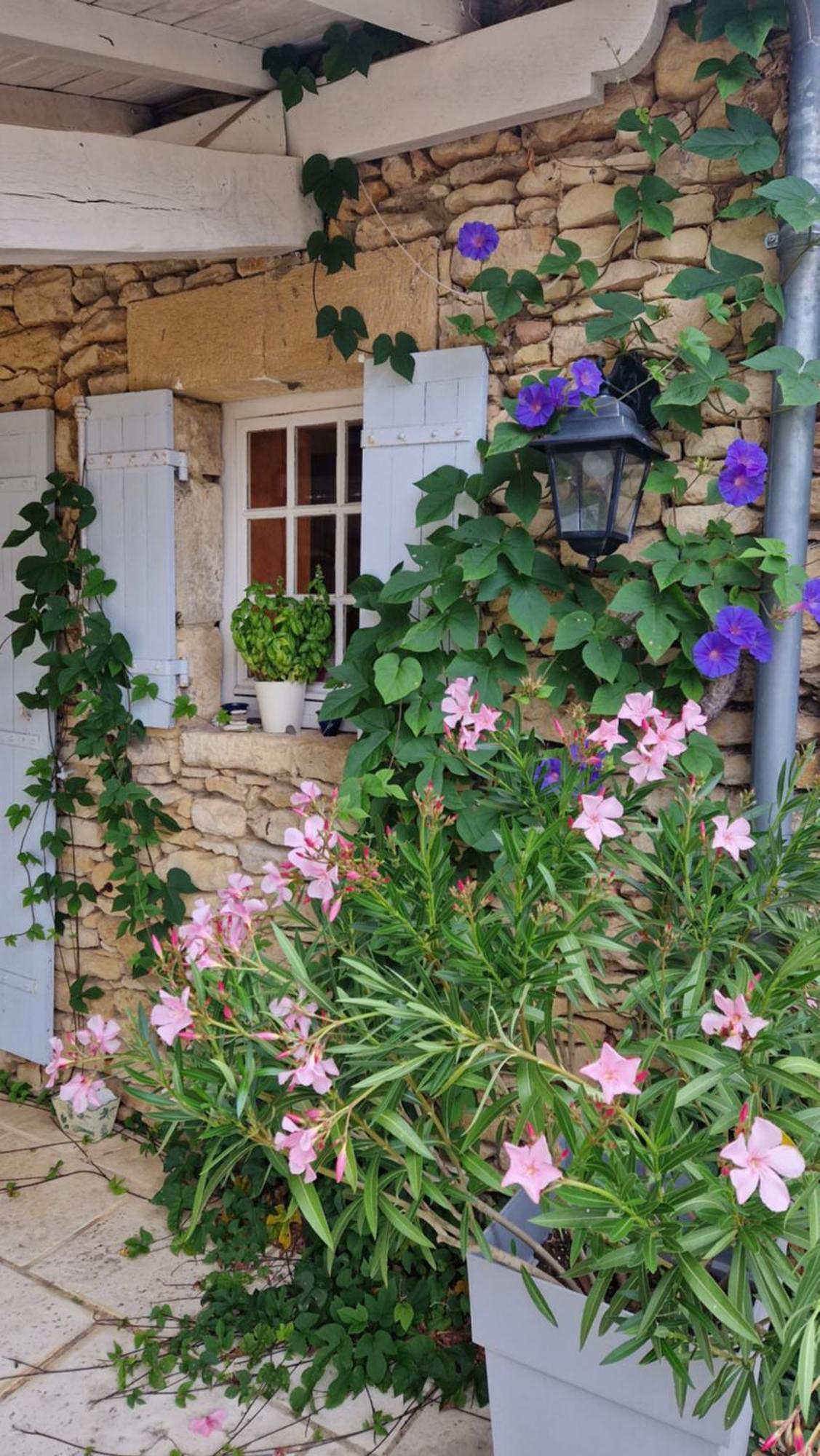 Le Clos-Lascazes Maison D'Hotes Le Buisson-de-Cadouin Esterno foto